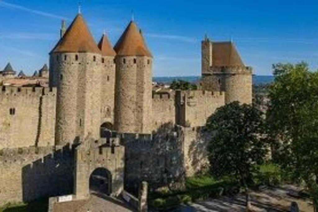 Spacieux Appartement Au Pied De La Cite Medievale 카르카손 외부 사진