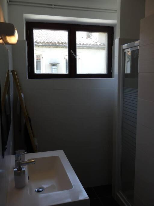 Spacieux Appartement Au Pied De La Cite Medievale 카르카손 외부 사진